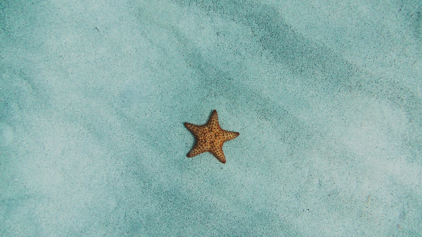 Star of the sea