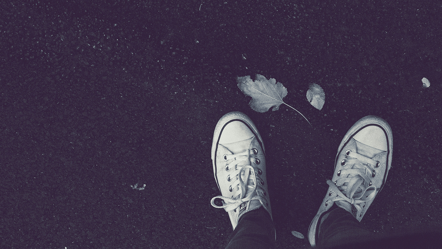 Walk in the new autumn
